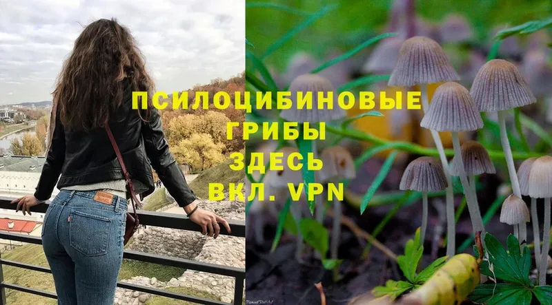 Галлюциногенные грибы MAGIC MUSHROOMS  дарнет шоп  Аксай 